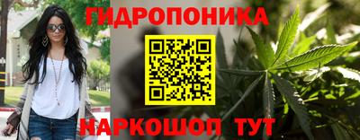 прущие крисы Малгобек