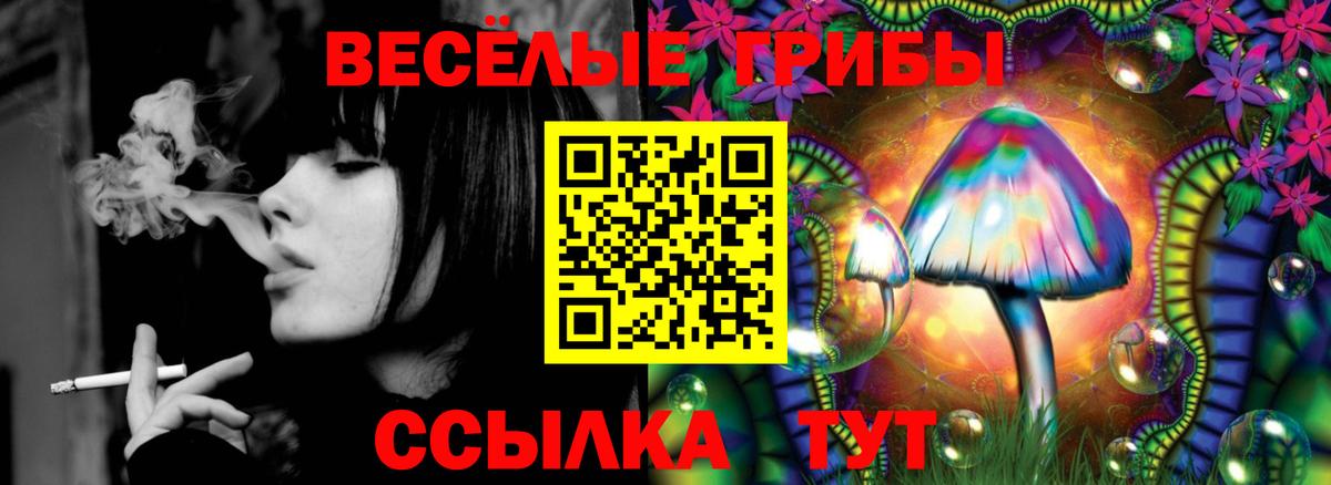 Псилоцибиновые грибы Psilocybine cubensis  Галлюциногенные грибы Cubensis  Вход с VPN  Урус-Мартан 